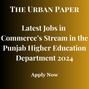 Latest Jobs in Commerce’s Stream in the Punjab Higher Education Department
